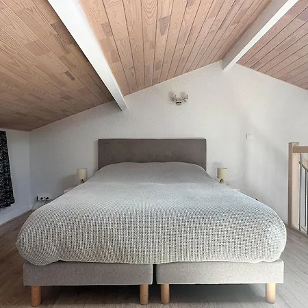 Maison De Confortable, Animaux Acceptés, Parking, Wifi - Fr-1-705-21 * La Palmyre